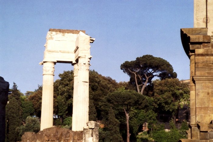 Click to see next picture