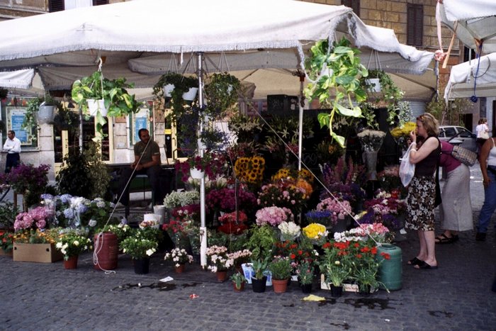 Click to see next picture