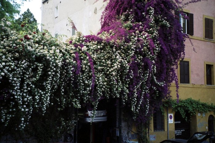 Click to see next picture