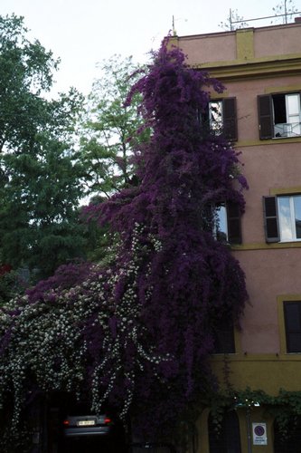 Click to see next picture