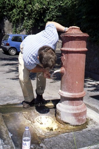 Click to see next picture