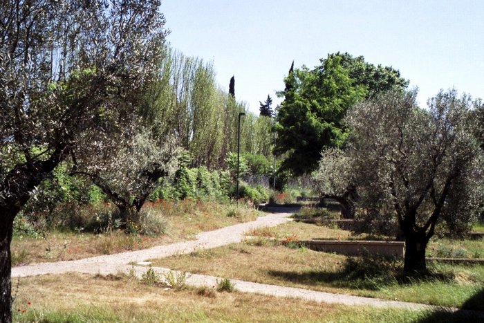 Click to see next picture