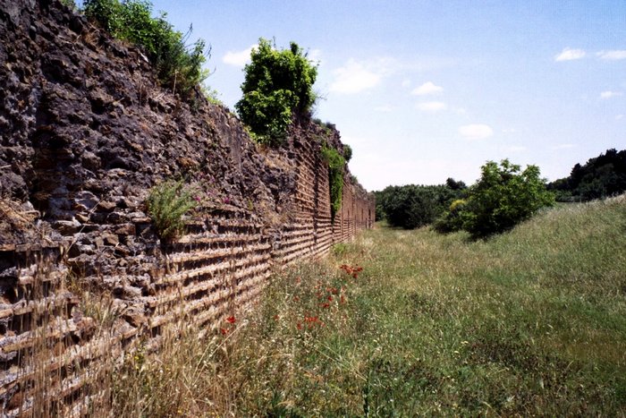 Click to see next picture