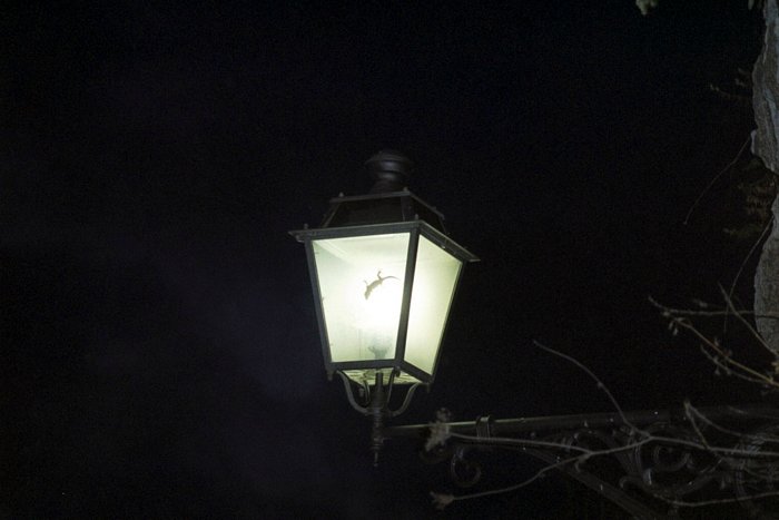 Click to see next picture