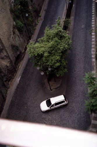 Click to see next picture