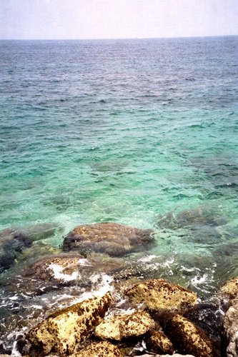 Click to see next picture