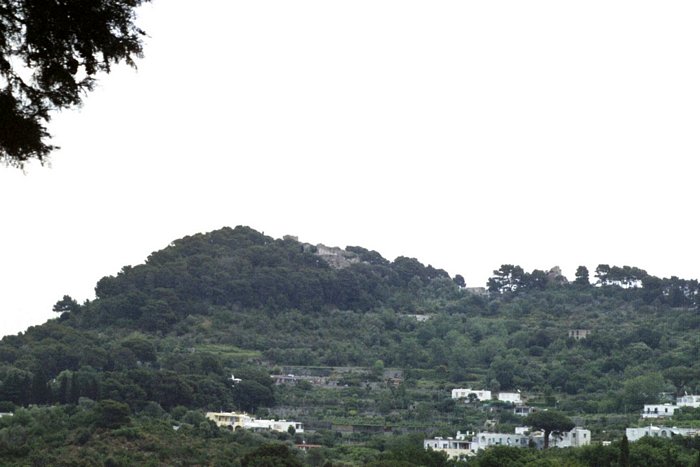 Click to see next picture