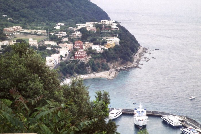 Click to see next picture