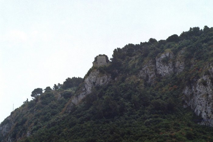 Click to see next picture