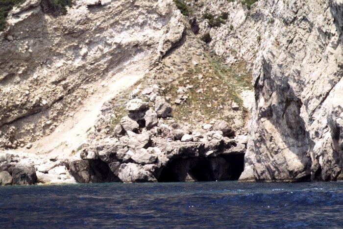 Click to see next picture