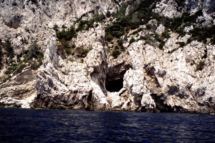 Click to see next picture