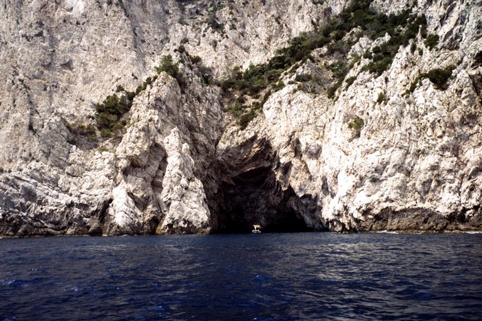 Click to see next picture