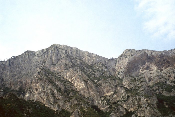 Click to see next picture