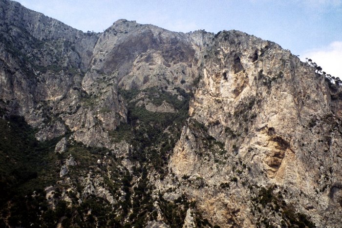 Click to see next picture