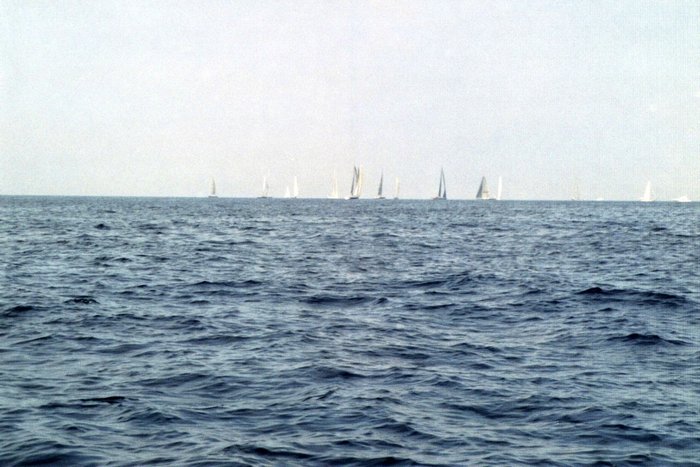 Click to see next picture