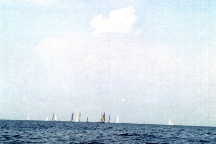 Click to see next picture