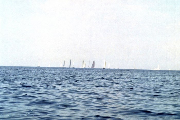 Click to see next picture