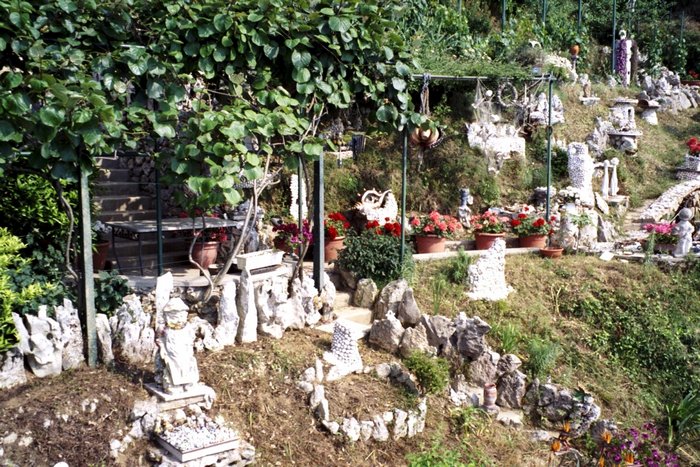 Click to see next picture