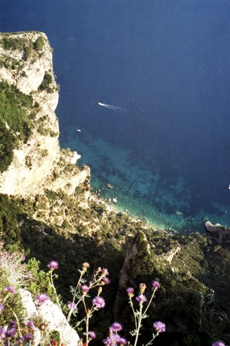 Click to see next picture