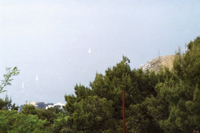 Click to see next picture