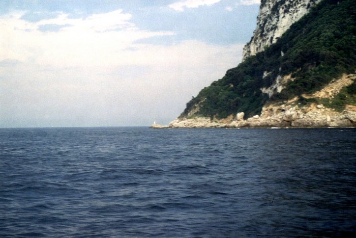 Click to see next picture