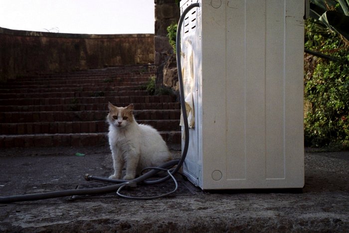 Click to see next picture