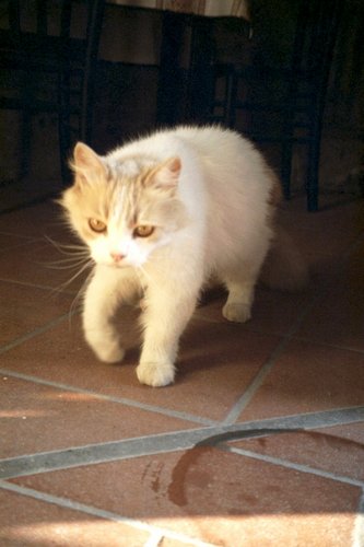 Click to see next picture