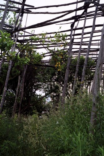 Click to see next picture