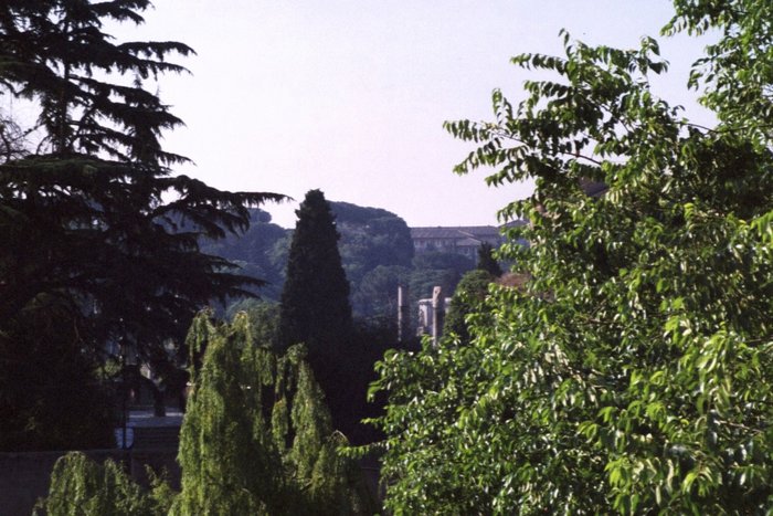 Click to see next picture