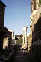 Click to see big picture (333x500 pixels; 33 KB)