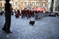 Click to see big picture (700x467 pixels; 87 KB)