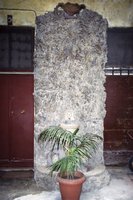 Click to see big picture (333x500 pixels; 47 KB)