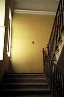 Click to see big picture (333x500 pixels; 29 KB)