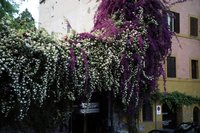 Click to see big picture (700x467 pixels; 104 KB)