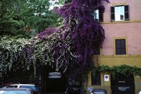 Click to go to thumbnail page