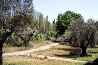 Click to go to thumbnail page