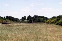 Click to see big picture (700x467 pixels; 80 KB)