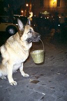 Click to see big picture (333x500 pixels; 39 KB)