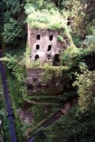 Click to see big picture (333x500 pixels; 69 KB)