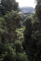 Click to see big picture (333x500 pixels; 47 KB)