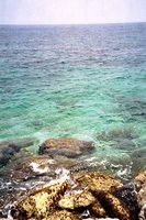 Click to see big picture (333x500 pixels; 56 KB)