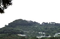 Click to see big picture (700x467 pixels; 49 KB)