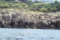 Click to see big picture (700x467 pixels; 110 KB)