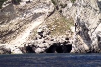 Click to see big picture (700x467 pixels; 111 KB)