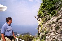 Click to see big picture (700x467 pixels; 96 KB)