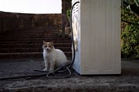 Click to go to thumbnail page