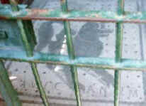 cavecanem.jpg (10571 bytes)